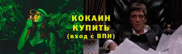 метадон Дмитриев