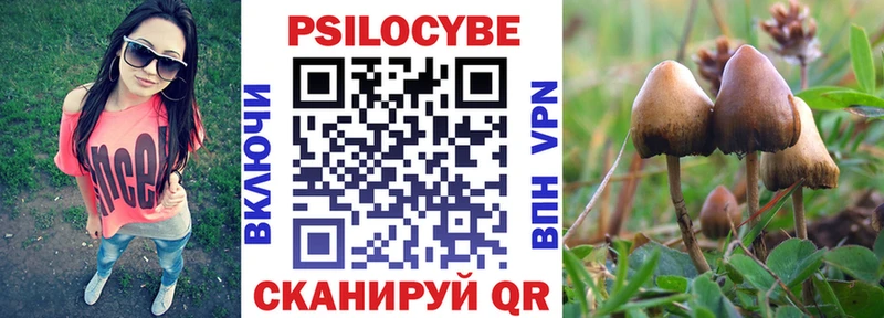 Псилоцибиновые грибы мицелий  Купить  Жигулёвск 
